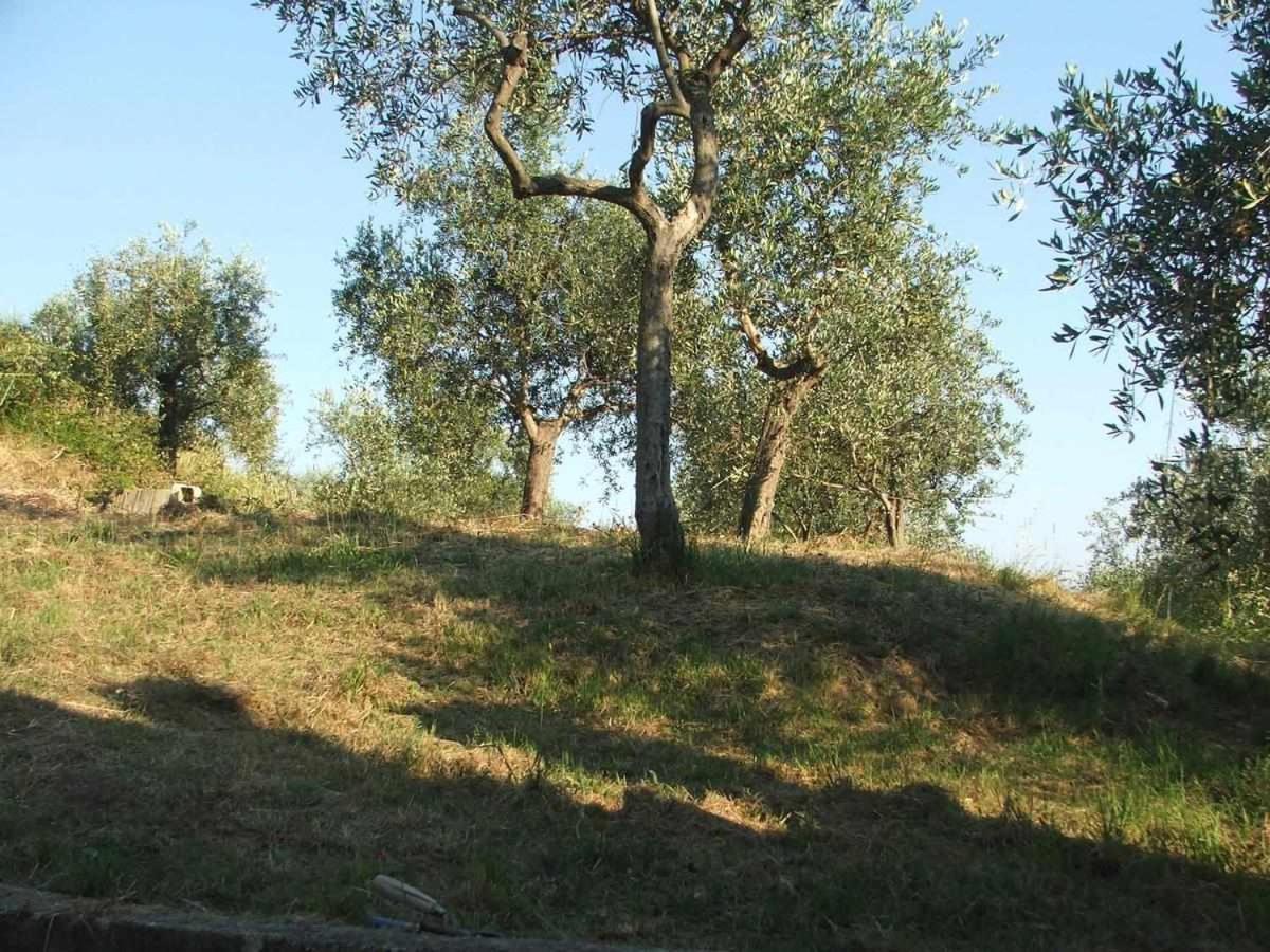 La Casetta Di Sofia 莫内利亚 外观 照片